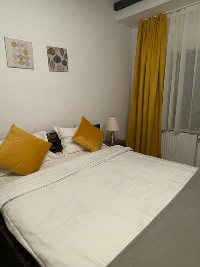 Casa Mesterului Sohodol  Екстер'єр фото